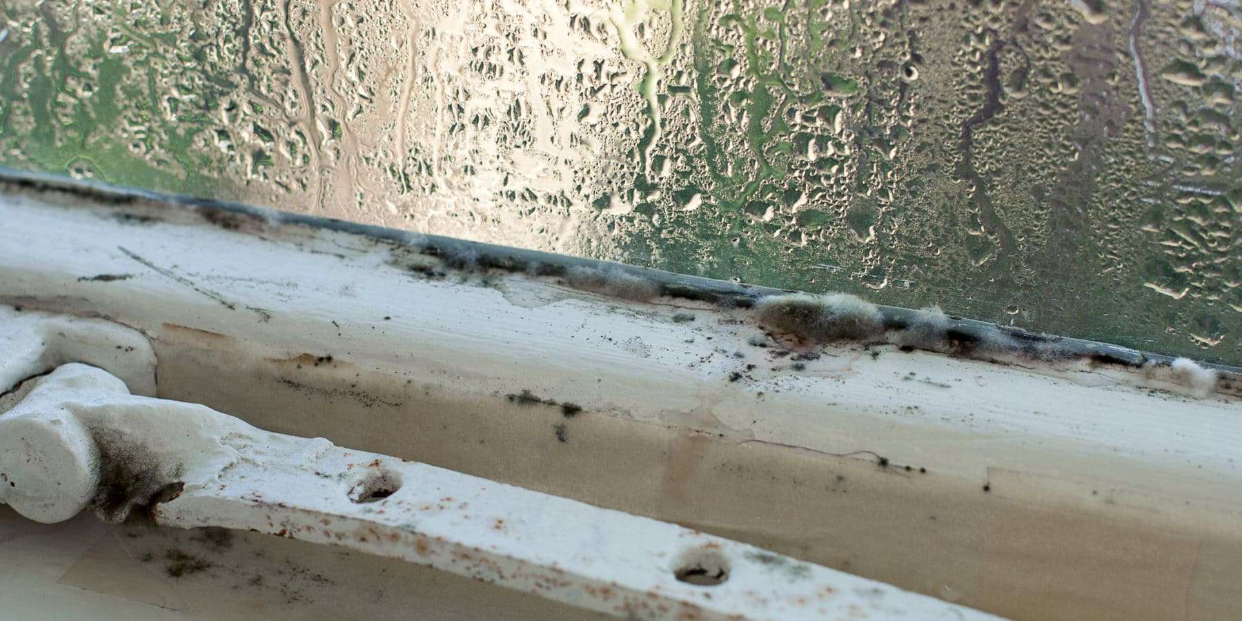 Window of a crawl space covered in moisture.