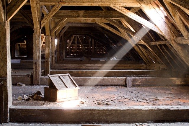 Should I Check My Attic For Mold?: Did you know that mold could be lurking in your attic? In fact, this is a common problem. This article provides you with the top 4 reasons why mold could be growing in your attic. A leaky roof is one cause of mold growth, can you guess the other three? Attic mold prevention is possible, be sure to check out our tips to keep the air in your attic healthy!