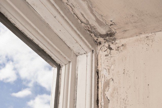 Mold Will Reduce Your Property Value!