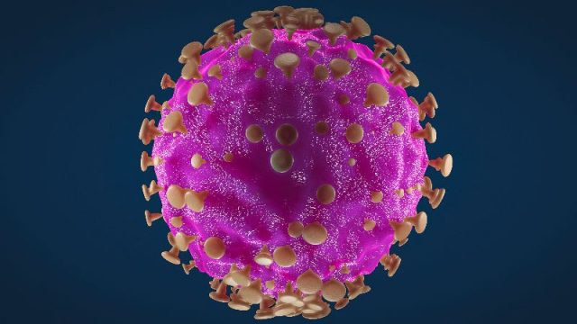 Picture of coronavirus