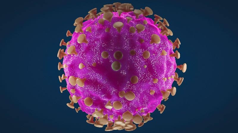 Picture of coronavirus