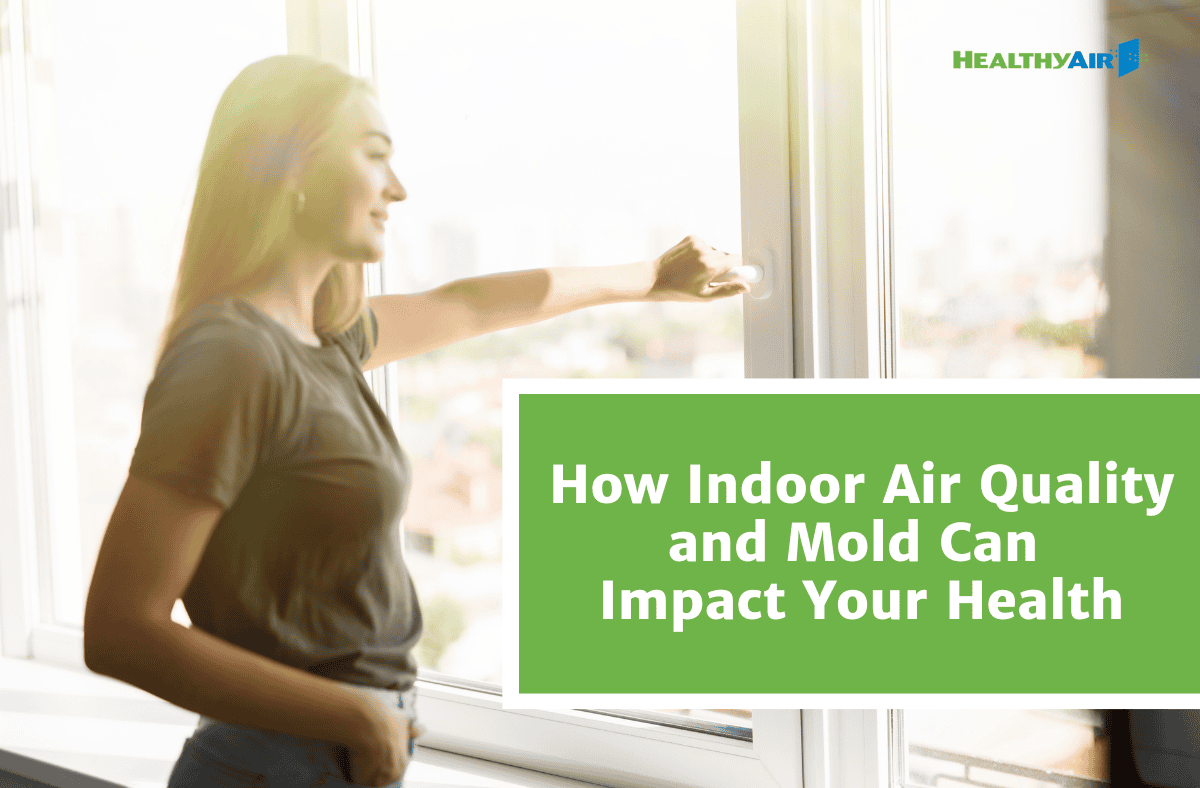 indoor air quality and mold