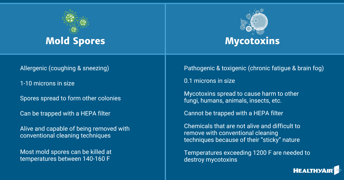 mold vs mycotoxins