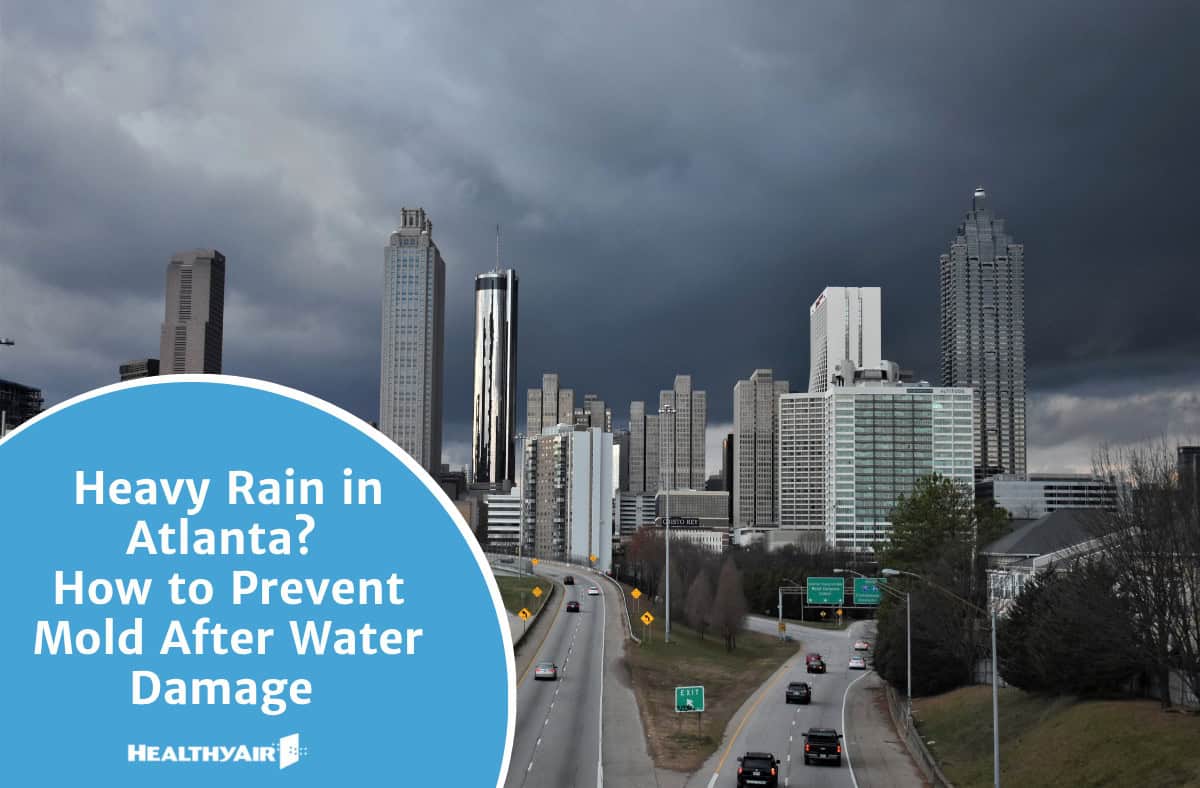 water damage mold atlanta